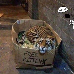 偷拍偷窥少女肏屄
